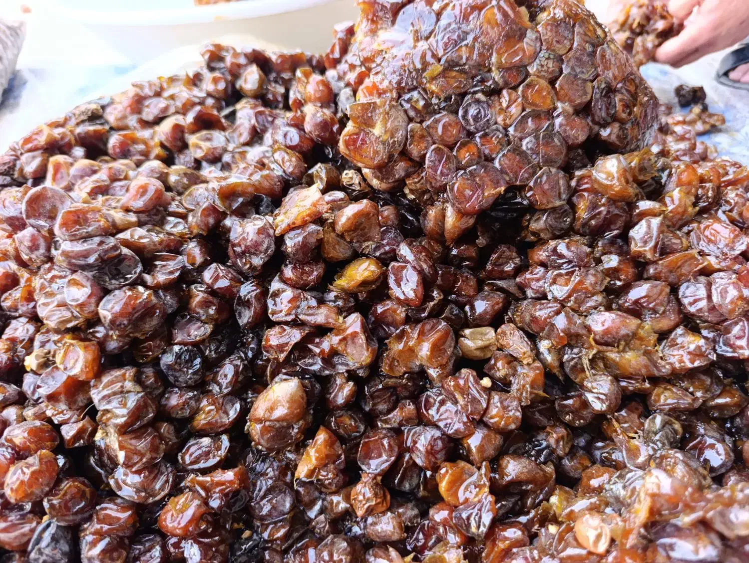 حراج واقعی خرما از کیلو ۱۰۵هزارتومان|خوردنی و آشامیدنی|قم, جهان بینی|دیوار