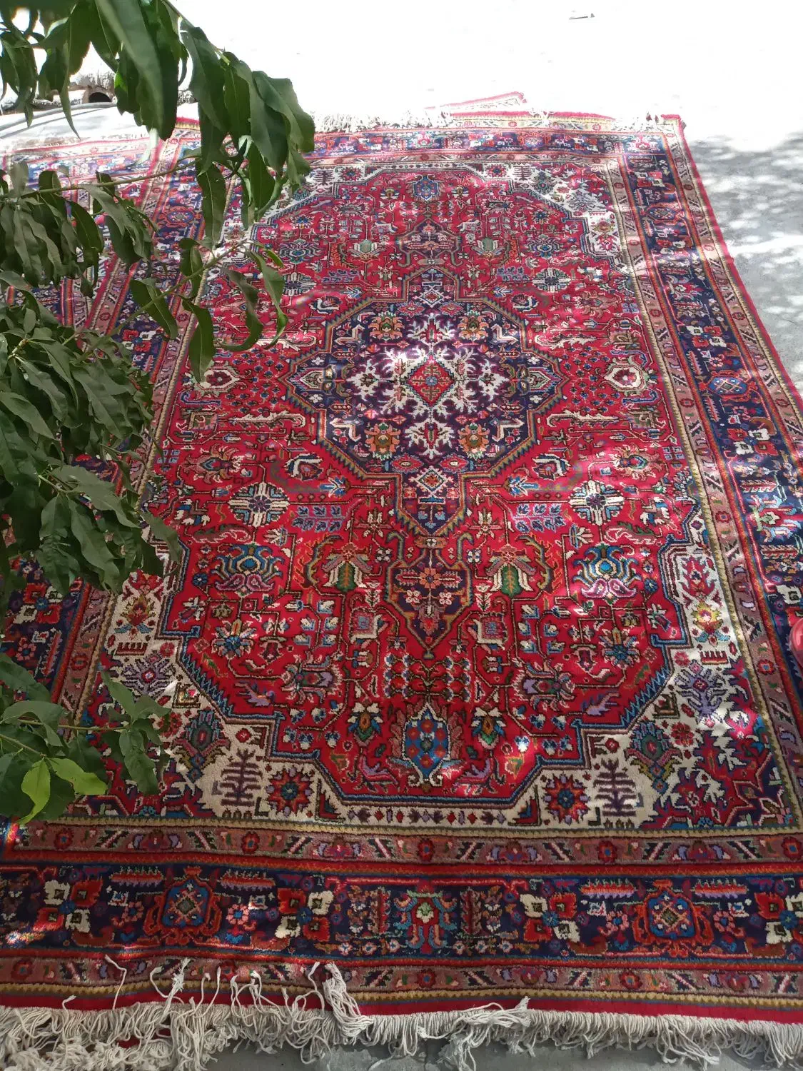 فرش|فرش|ارومیه, |دیوار