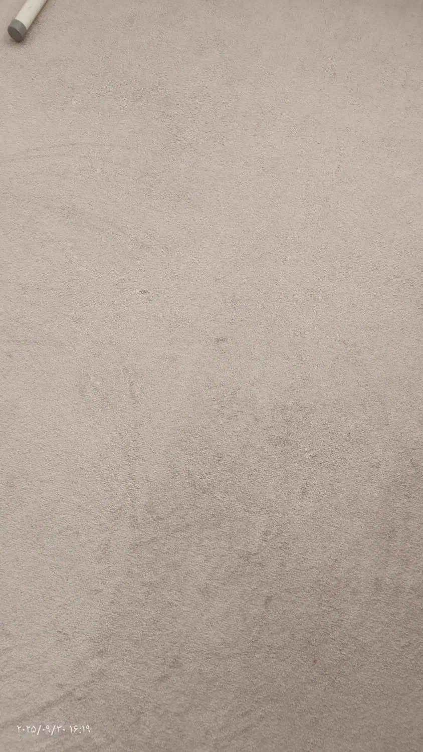 پالاز موکت بدون هیچ زدگی سه در پنچ|موکت|بانه, |دیوار