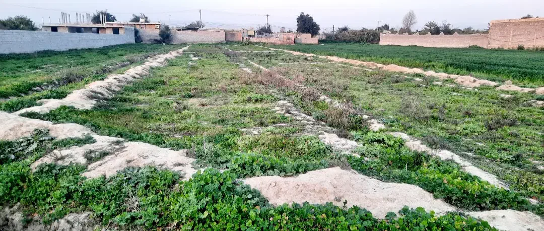 فروش زمین ۲۲۰۰ متری در شهر سرسبز سماله|فروش دفتر صنعتی، کشاورزی، تجاری|شوشتر, |دیوار