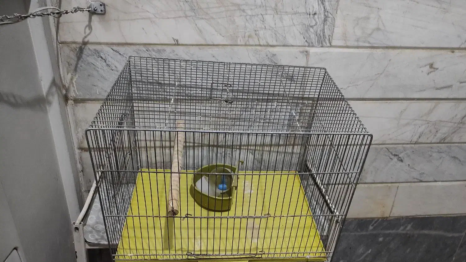 قفس پرنده|لوازم جانبی حیوانات|قم, شهرک امام حسن|دیوار