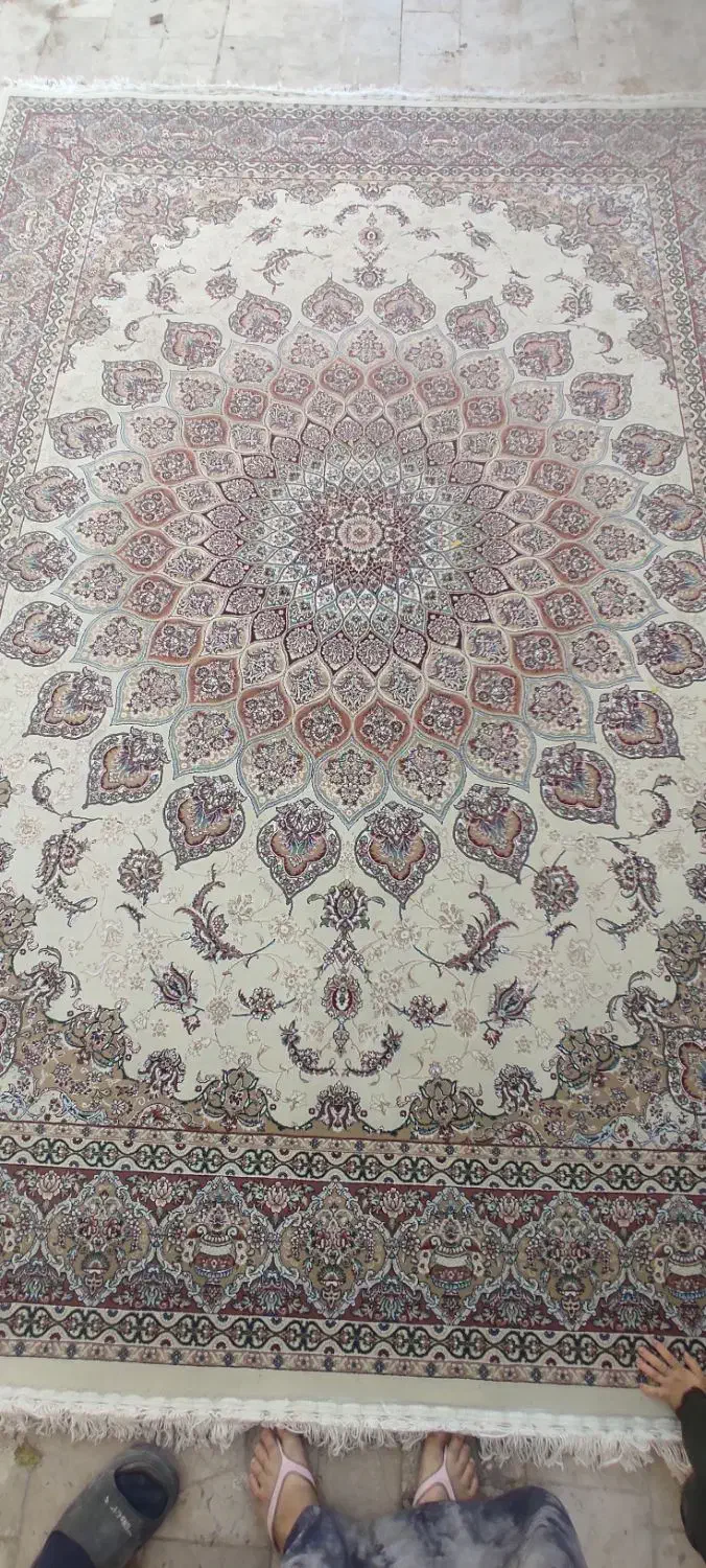فرش 700 شانه تک|فرش|مشهد, امیریه|دیوار