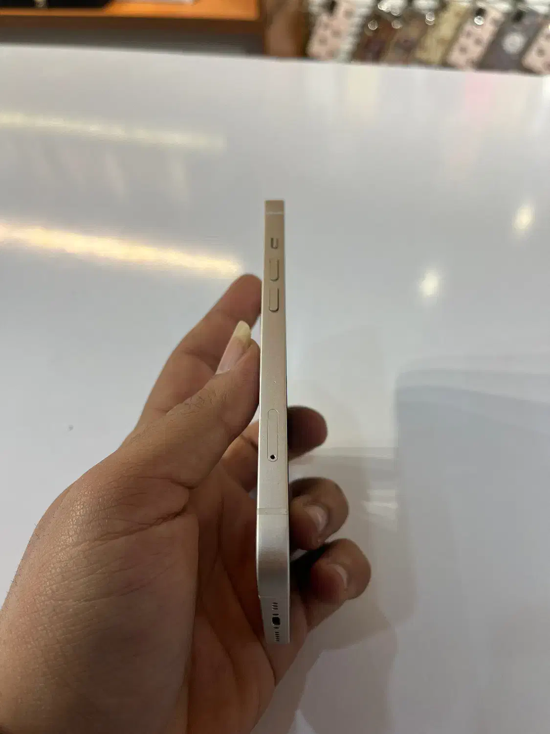 Iphone 13|موبایل|نوشهر, |دیوار