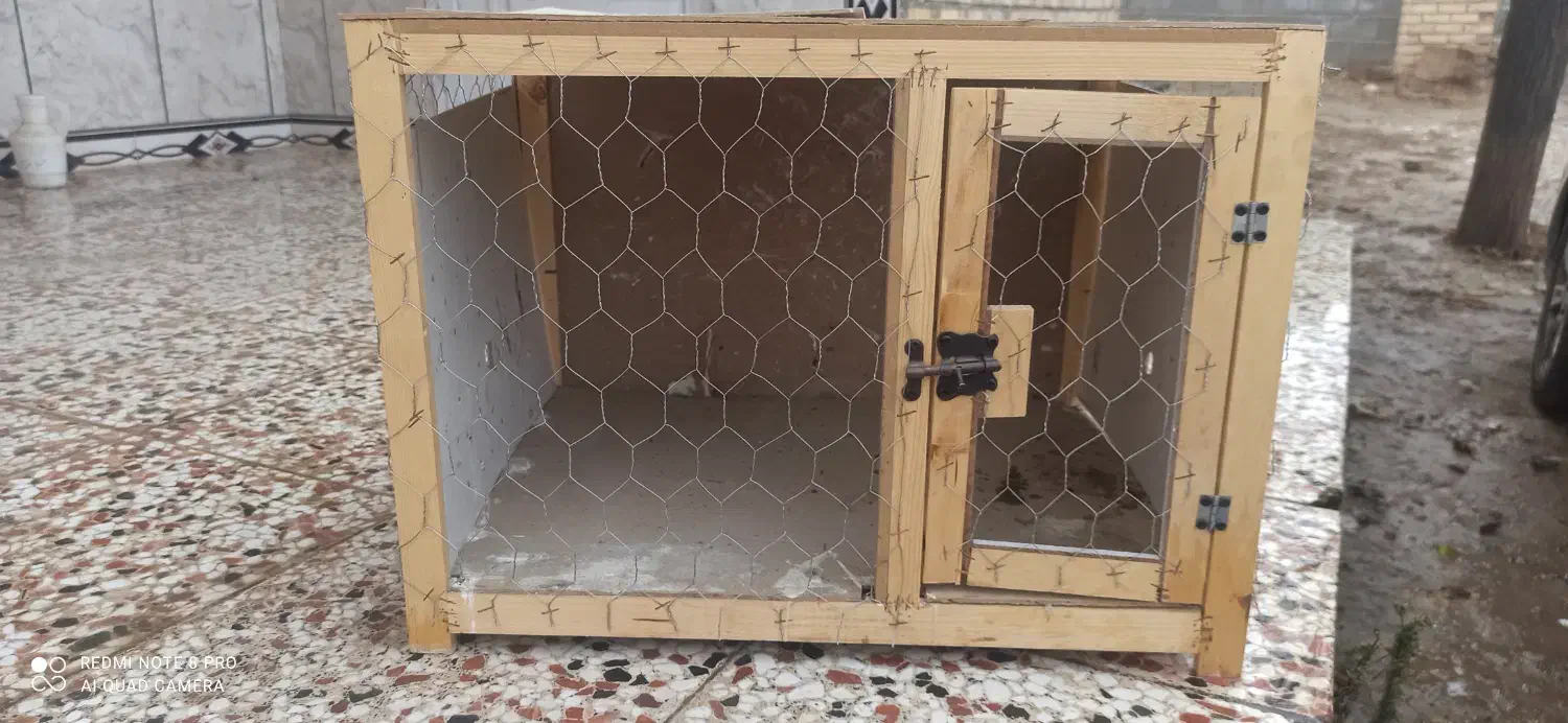 قفسه|لوازم جانبی حیوانات|کلاله, |دیوار