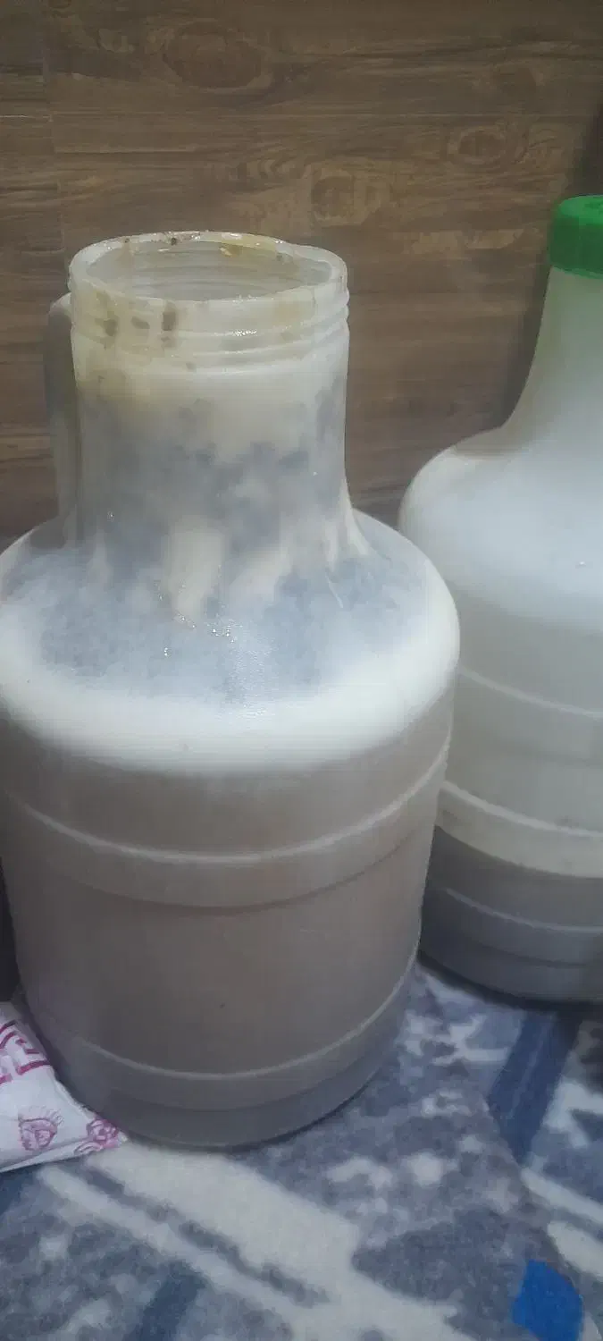 فروش عسل کنار|خوردنی و آشامیدنی|لیکک, |دیوار