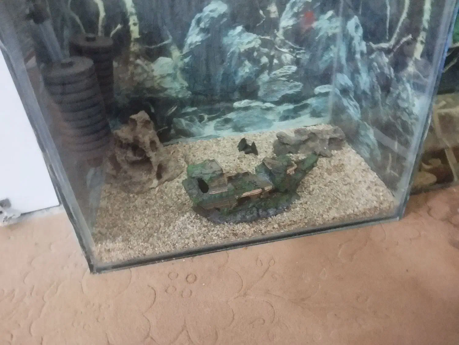 اکواریم|ماهی|سراوان, |دیوار