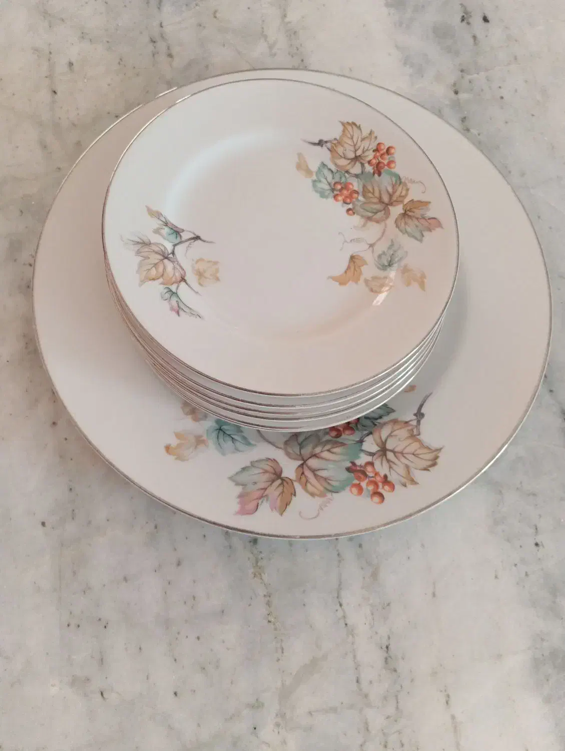 سرویس میوه خوری|ظروف سرو و پذیرایی|شاهین‌شهر, گرگاب|دیوار