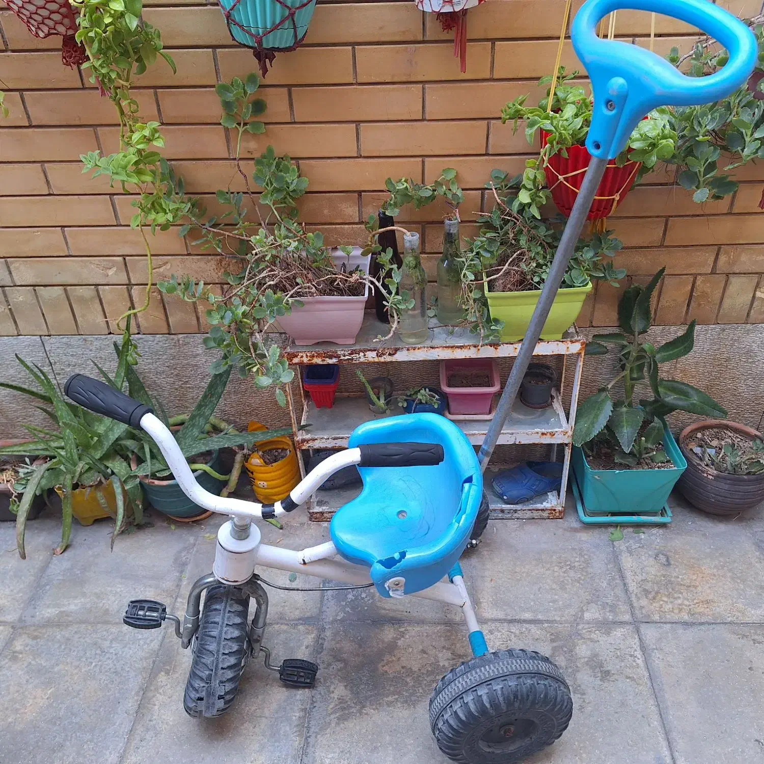 دوچرخه وسه چرخه|دوچرخه، اسکیت، اسکوتر|شیراز, کوشک میدان|دیوار