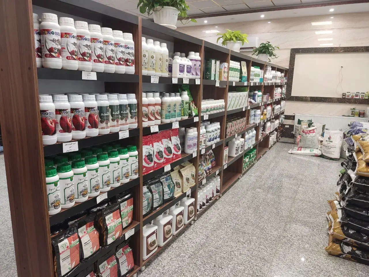 فروش ویژه چالکود زمستانه تا ۲۰ ٪ تخفیف|خدمات باغبانی و درختکاری|نجفآباد, جعفرآباد|دیوار