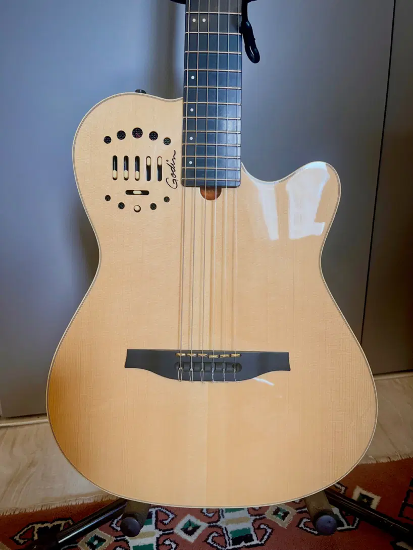گیتار Godin Multiac Nylon Deluxe|گیتار، بیس، امپلیفایر|تهران, ازگل|دیوار