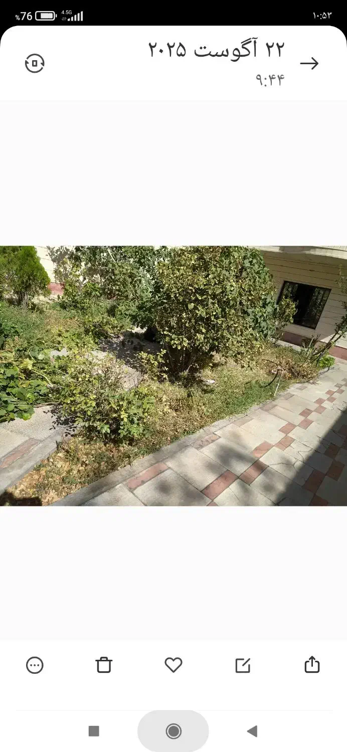 هرس درختان سم پاشی بیل زنی وگلگاری|خدمات باغبانی و درختکاری|تبریز, |دیوار