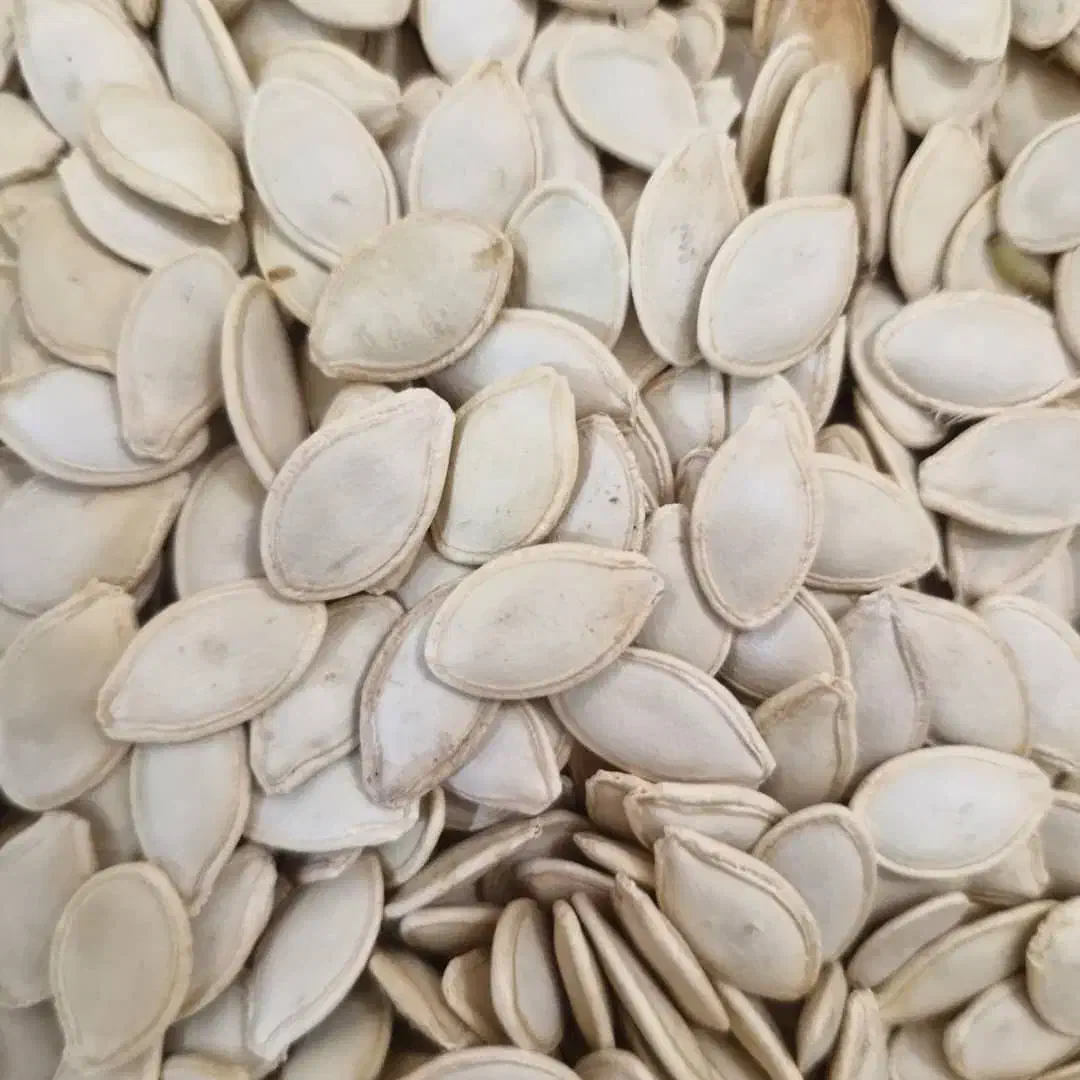 فروش تخمه کدو|حراج|آباده, |دیوار