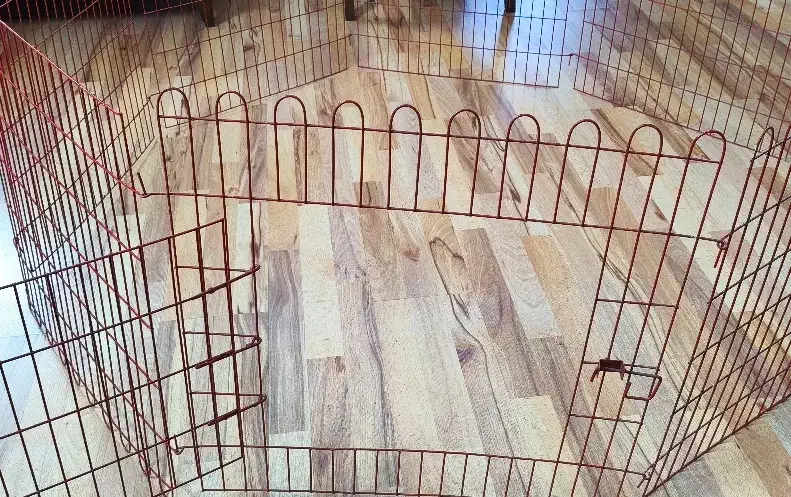 فنس نگهداری حیوانات خانگی|لوازم جانبی حیوانات|مشهد, دانشجو|دیوار