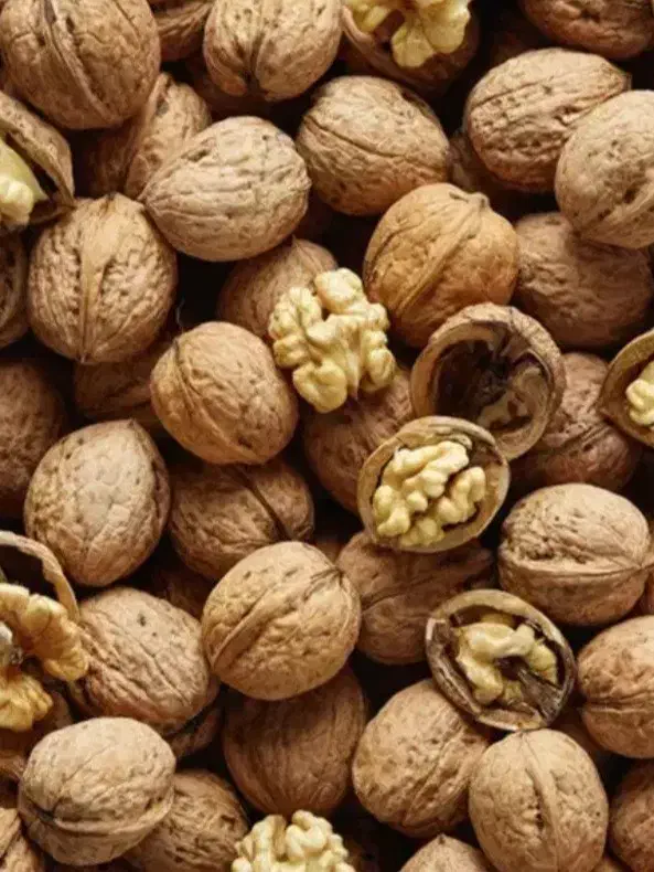 تازه محصول|حراج|گرگان, |دیوار