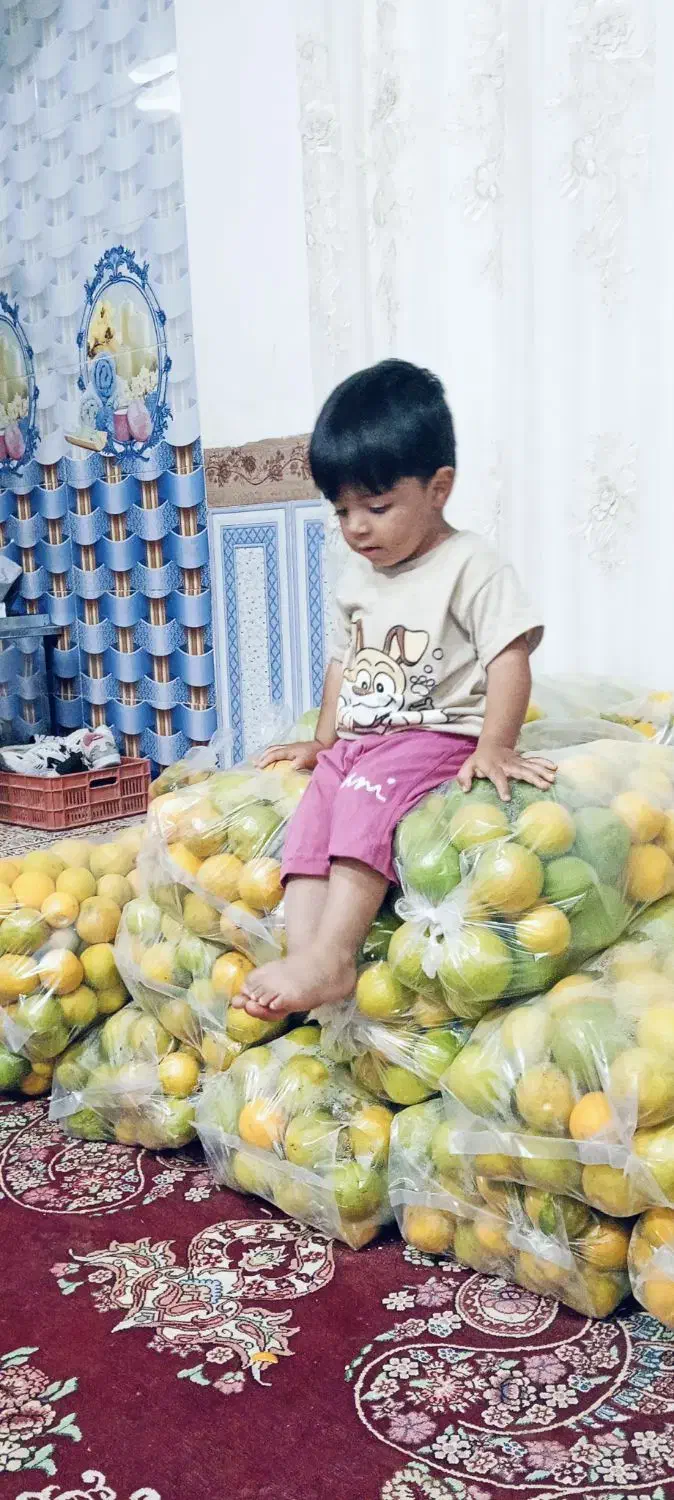 پرتقال گنبکی ۵۲۰۰۰عمده .۱۵۰کیلو|حراج|گنبکی, |دیوار