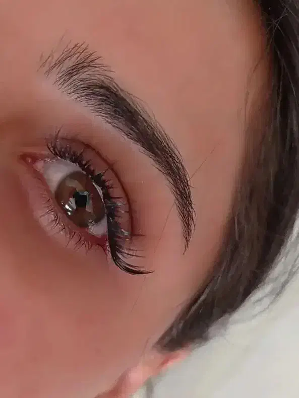 آف یلدایی کاشت مژه، لیفت، پروتئین|خدمات آرایشگری و زیبایی|آمل, |دیوار