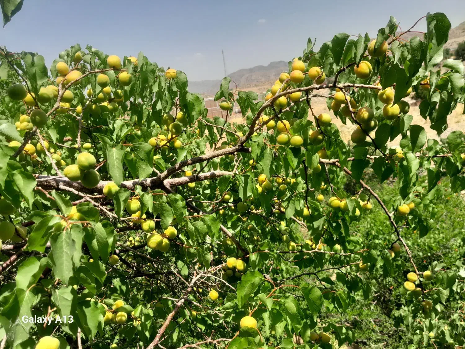۳۰۰مترمربع زمین کلنگی|فروش زمین و ملک کلنگی|جبالبارز, |دیوار