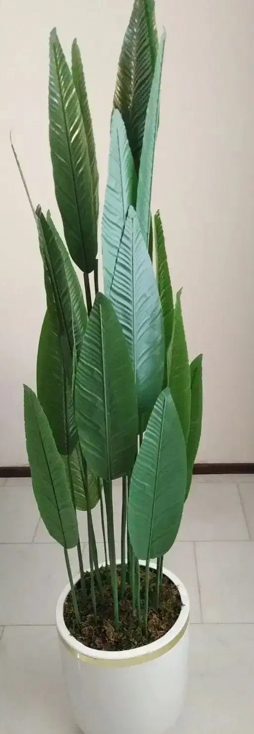 گلدان مصنوعی پرنده بهشتی|گل مصنوعی|پردیس, فاز ۱۱|دیوار