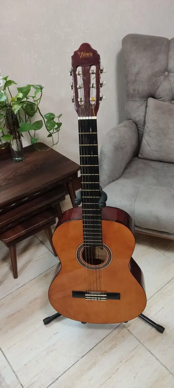 گیتار|گیتار، بیس، امپلیفایر|رشت, کوی مهر|دیوار