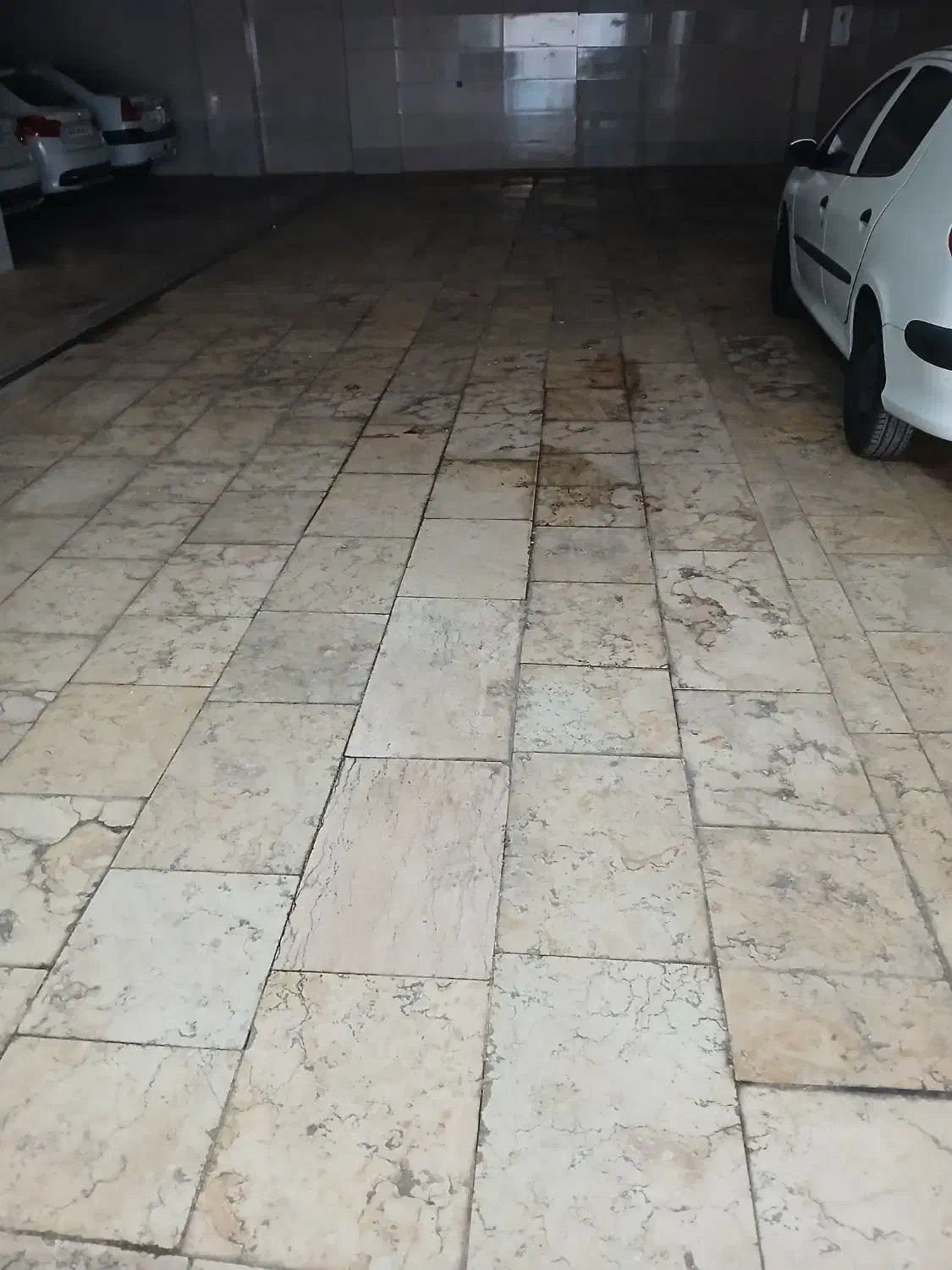 نظافت ساختمان و سنگ سابی با مدیریت کتابی|خدمات نظافت|محمدشهر, محمدشهر|دیوار