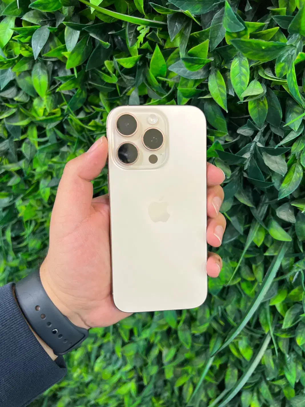 Iphone 16 pro 256G شرکتی|موبایل|تبریز, |دیوار