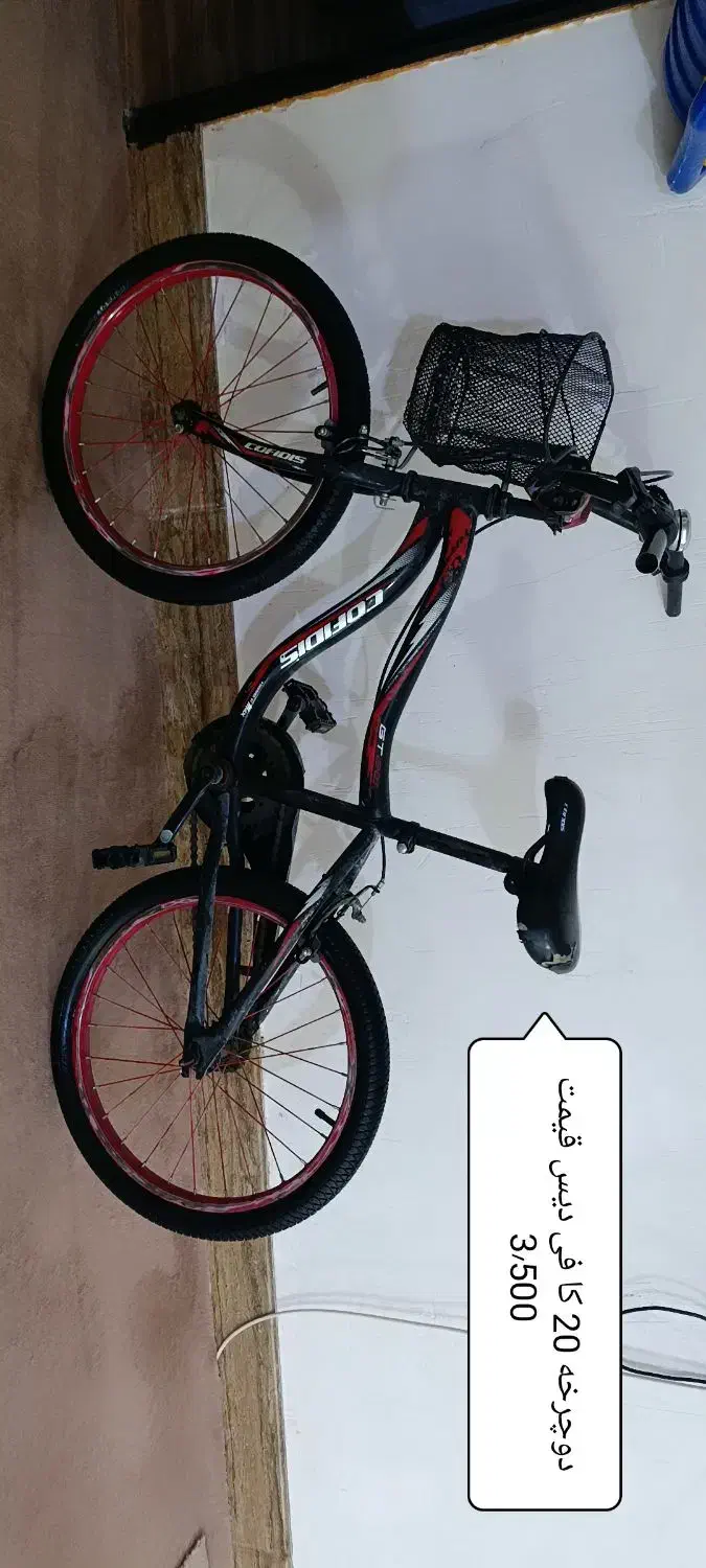 دوچرخه|دوچرخه، اسکیت، اسکوتر|برازجان, |دیوار