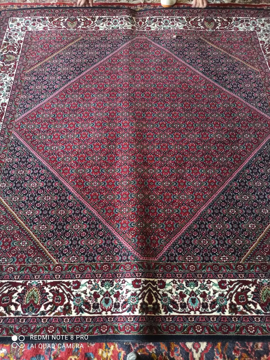 فرش ریزه ماهی|فرش|زنجان, |دیوار