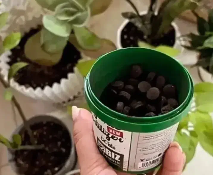 تقویت گلهای اپارتمانی|گل و گیاه طبیعی|تهران, دریان‌نو|دیوار