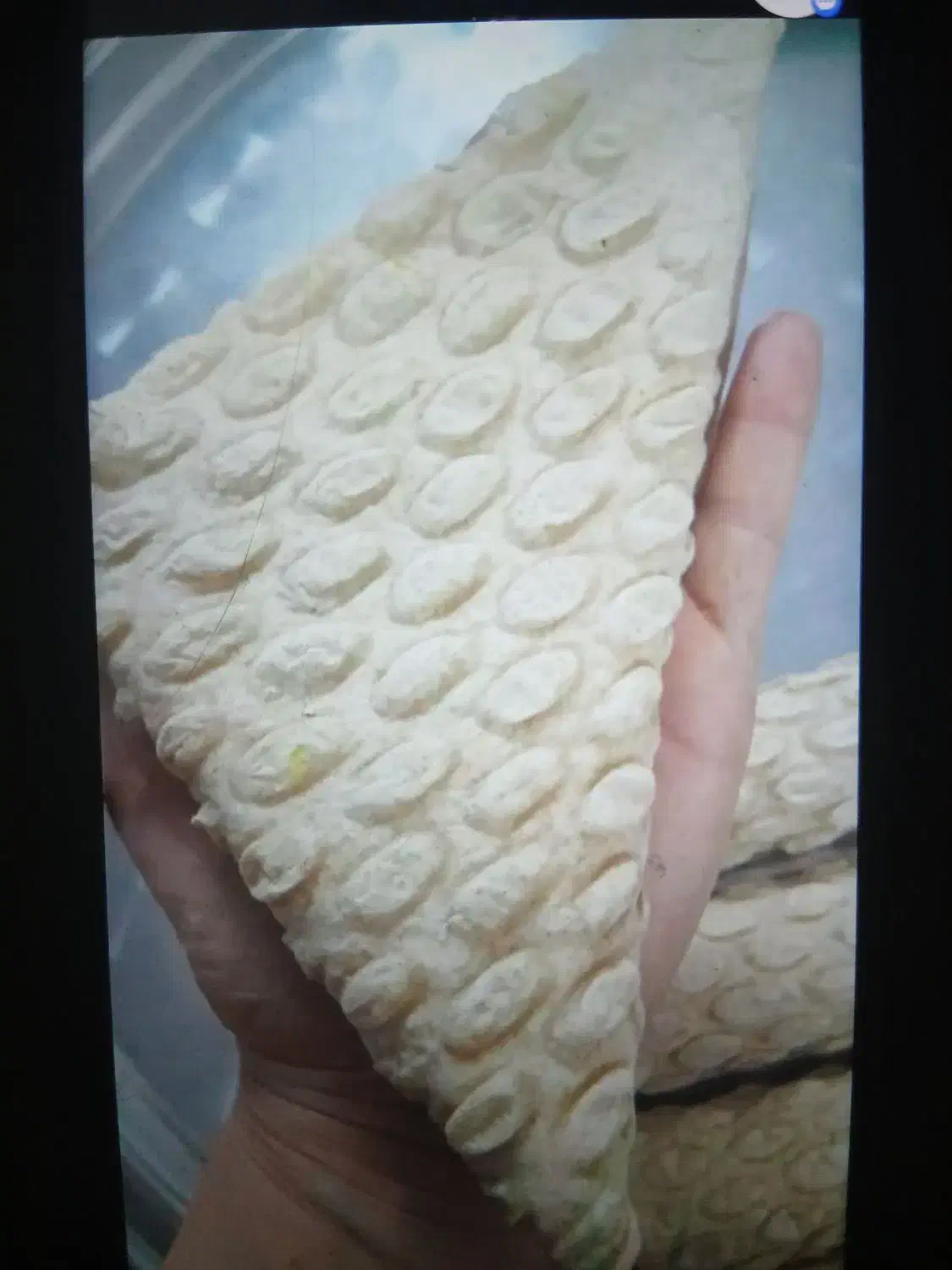 سمبوسه ساده سمبوسه پیتزایی|خوردنی و آشامیدنی|فولادشهر, مسکن مهر فولادشهر|دیوار