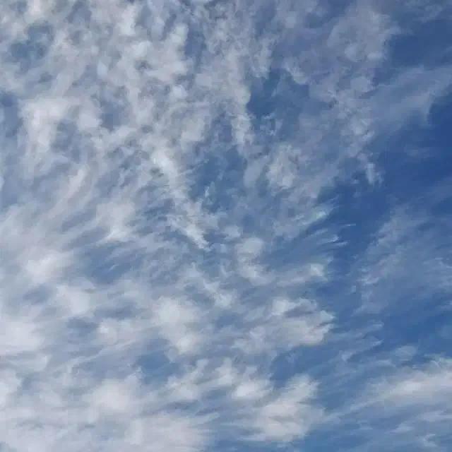 سرمایه گذاری|فعالیت داوطلبانه|ری, بی‌بی شهر بانو|دیوار