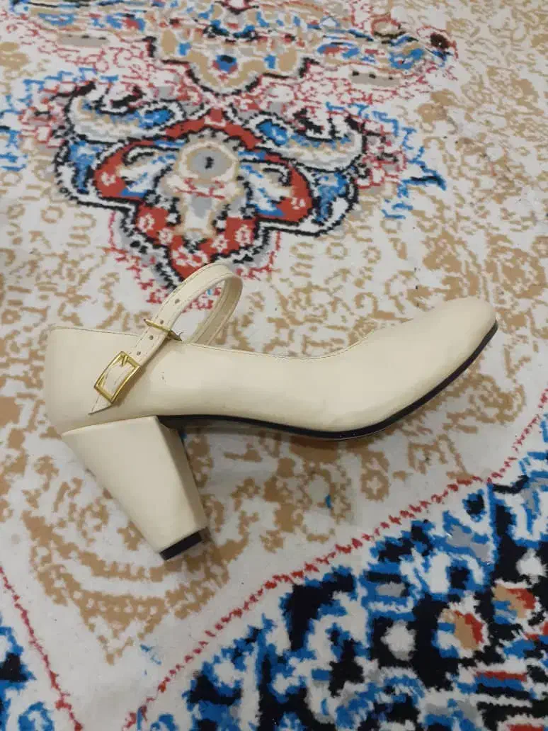 کیف و کفش|کیف، کفش، کمربند|بوشهر, |دیوار