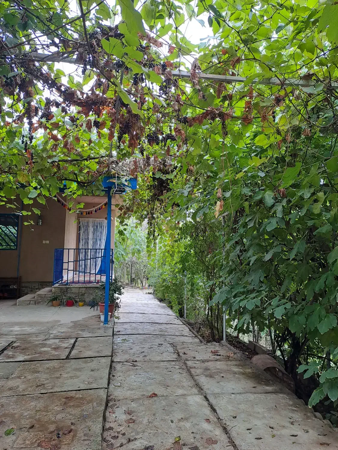 اجاره روزانه/هفتگی/ماهانه ویلا ۱۲۰۰ متری|اجارهٔ کوتاهمدت ویلا و باغ|مینودشت, |دیوار