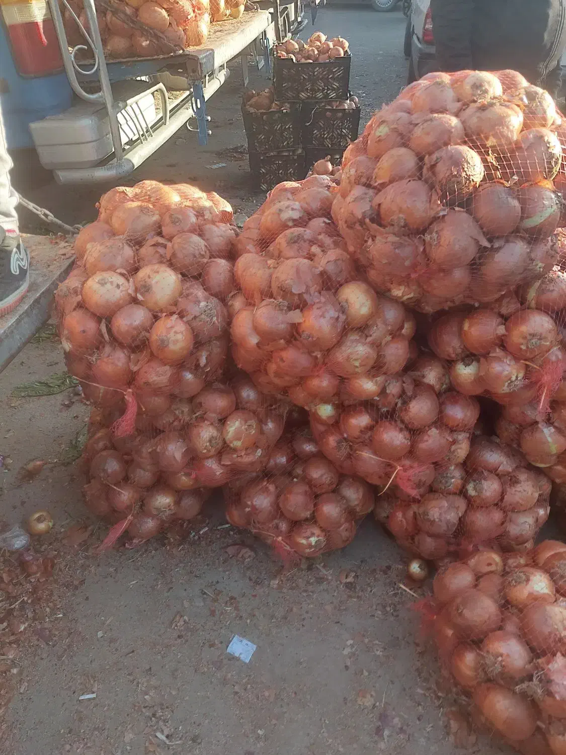 فروش زمین کشاورزی|اجارهٔ دفتر صنعتی، کشاورزی، تجاری|خرم بید, |دیوار