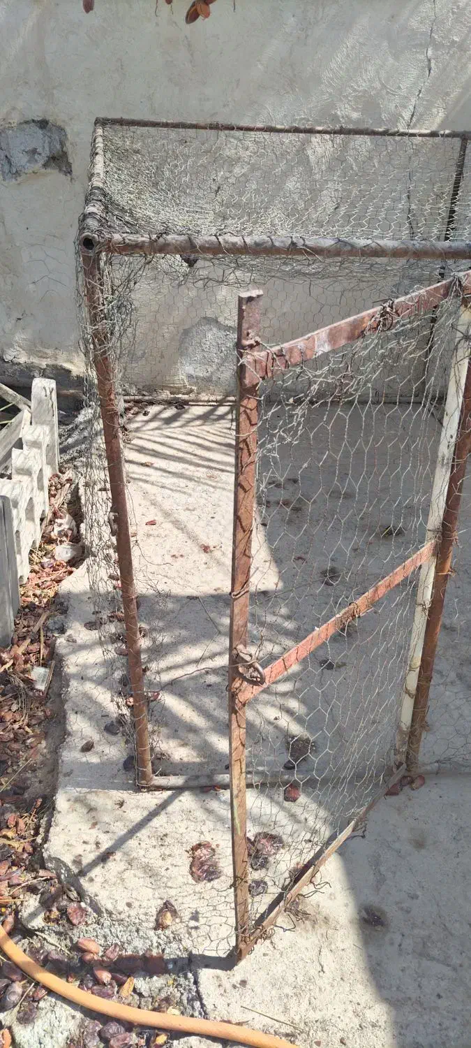 قفس بزرگ مناسب مرغ و کبوتر|لوازم جانبی حیوانات|شوشتر, |دیوار