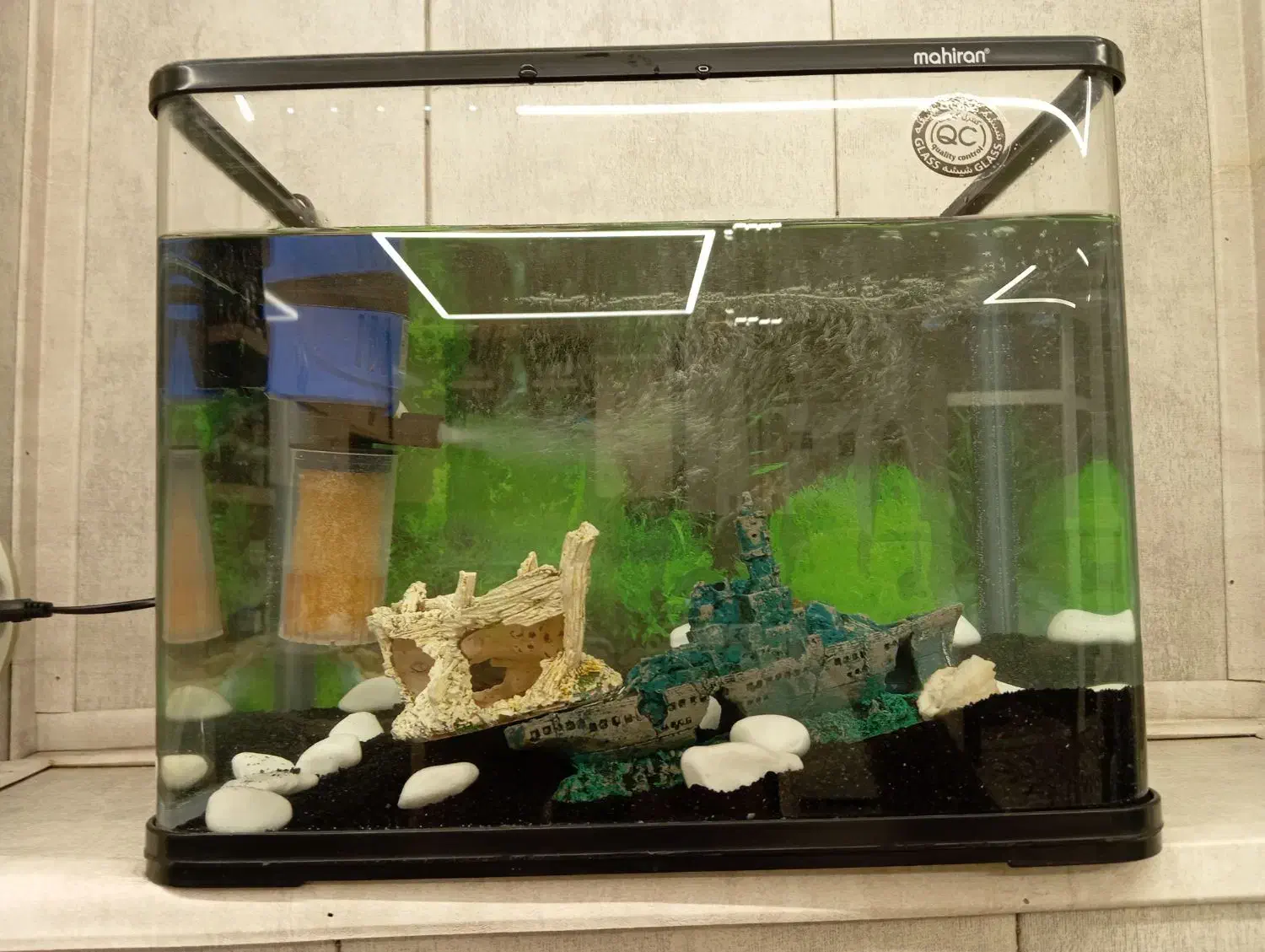 آکواریوم مارک ماهیران|ماهی|اصفهان, بهارستان|دیوار