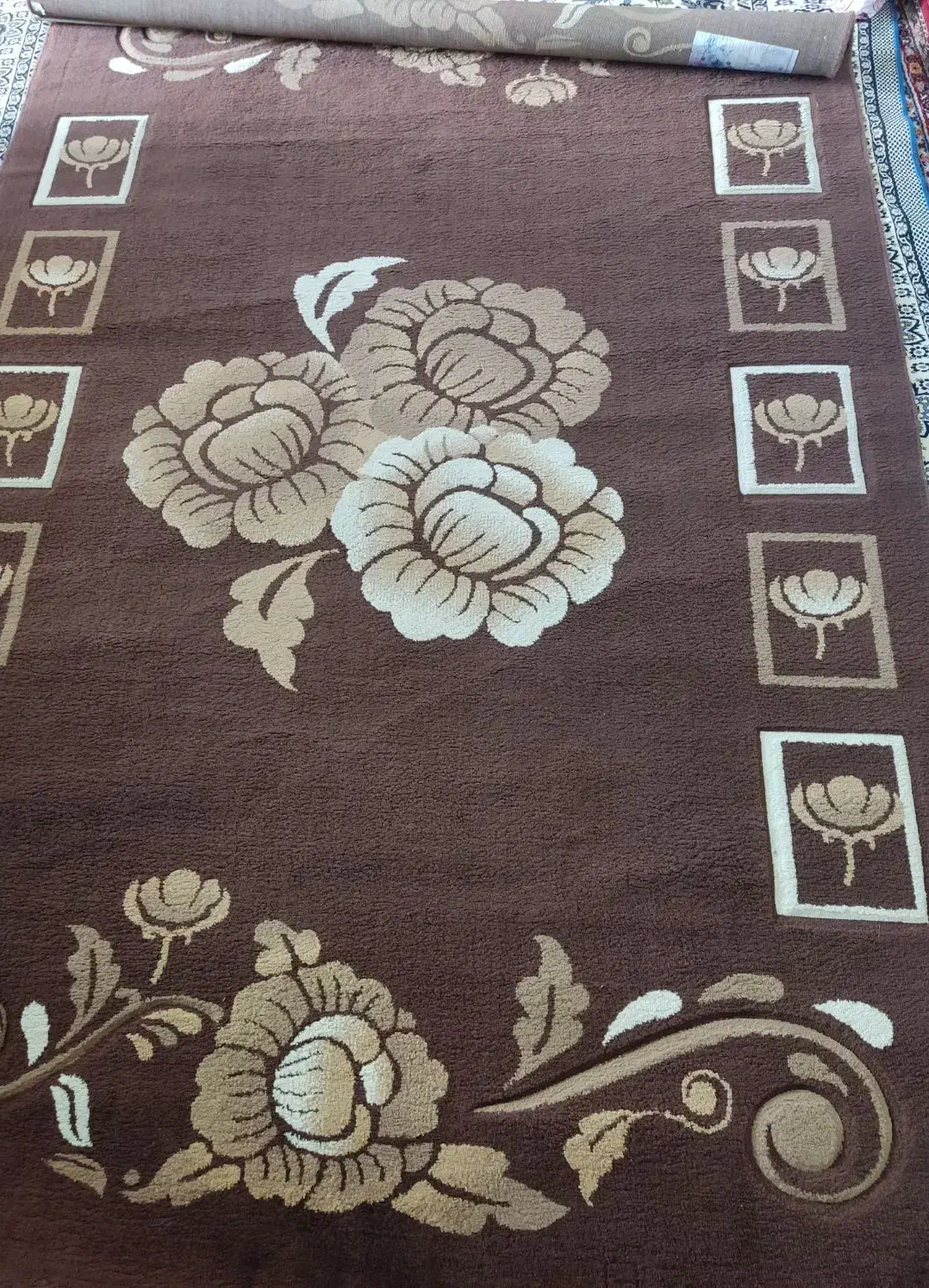 فروش فرش|فرش|جهرم, |دیوار