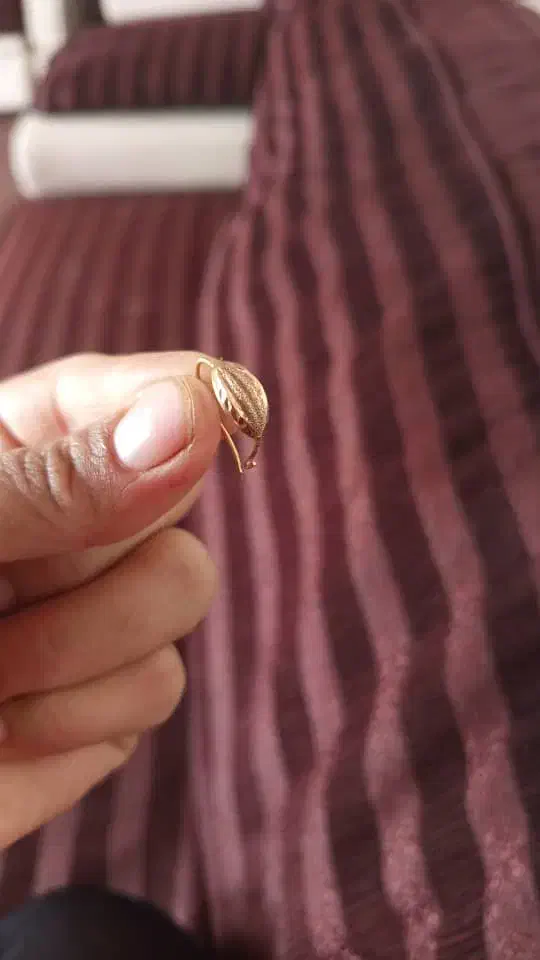 طلا گمشده|جواهرات|جهرم, |دیوار