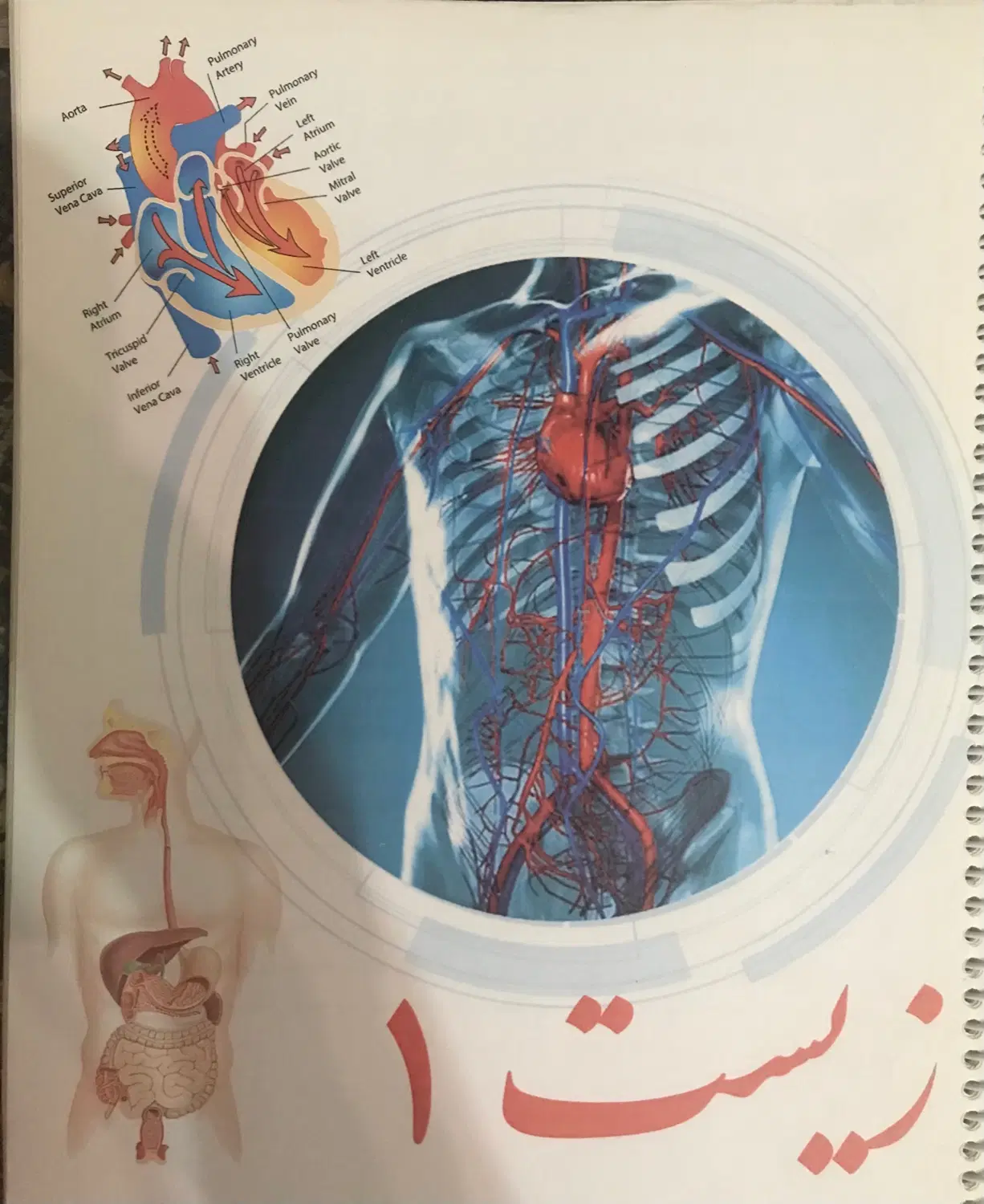 زیست ۱۰ ۱۱ ۱۲|کتاب و مجله آموزشی|نجفآباد, ویلاشهر|دیوار