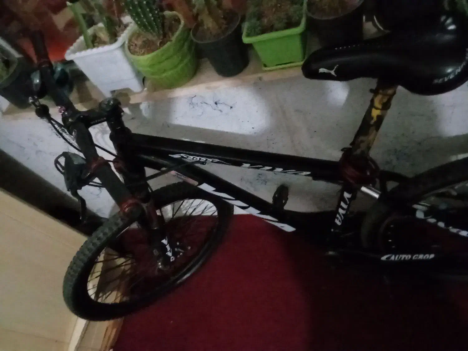 دوچرخه ۲۶مارک ویوا|دوچرخه، اسکیت، اسکوتر|همدان, |دیوار