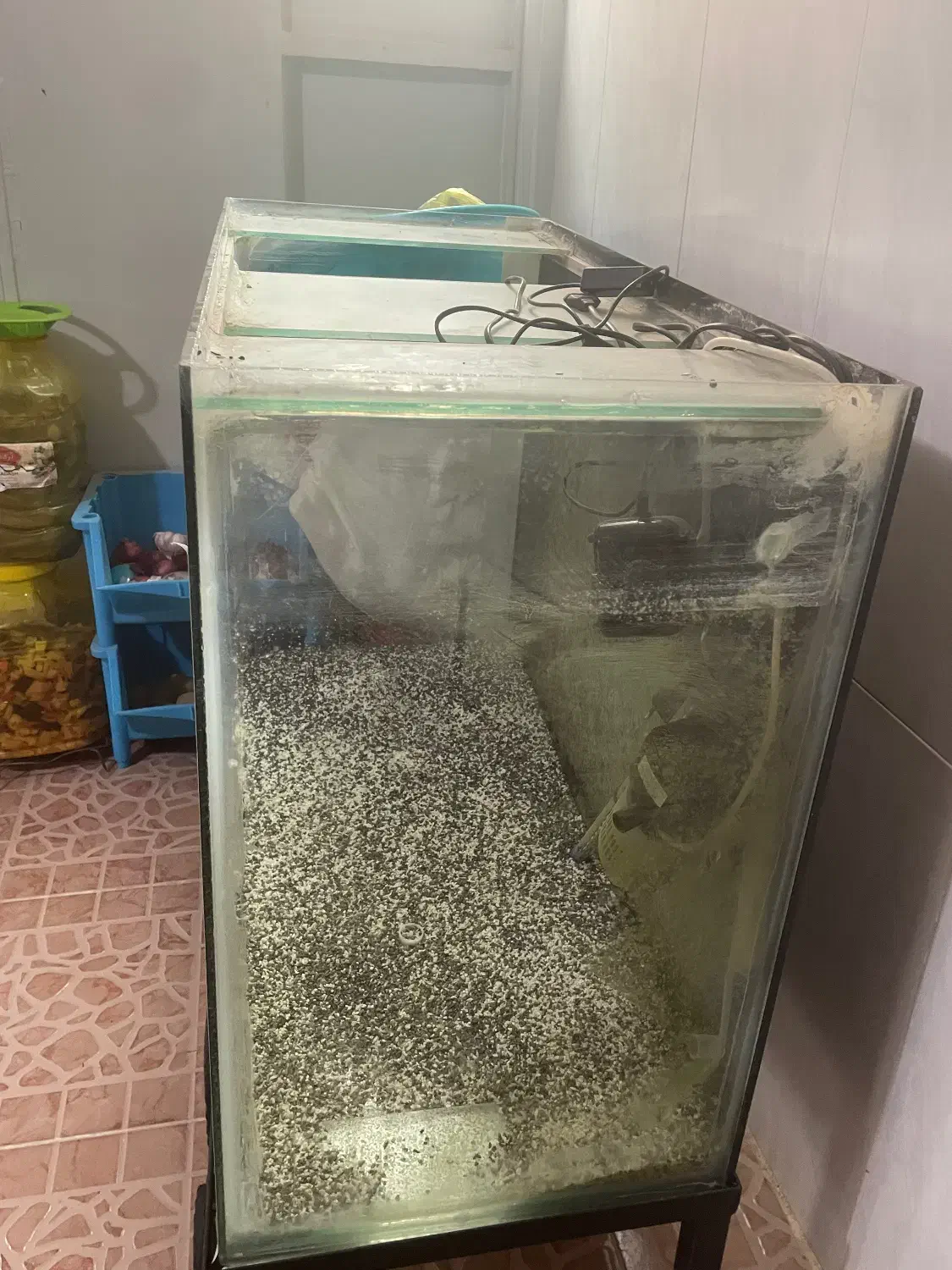 آکواریوم ماهی بزرگ و جا دار|ماهی|بروجن, |دیوار