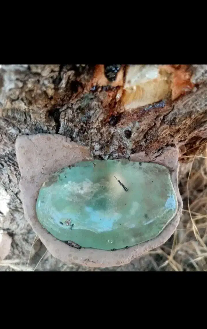 واگذاری مغازە|حراج|مریوان, |دیوار