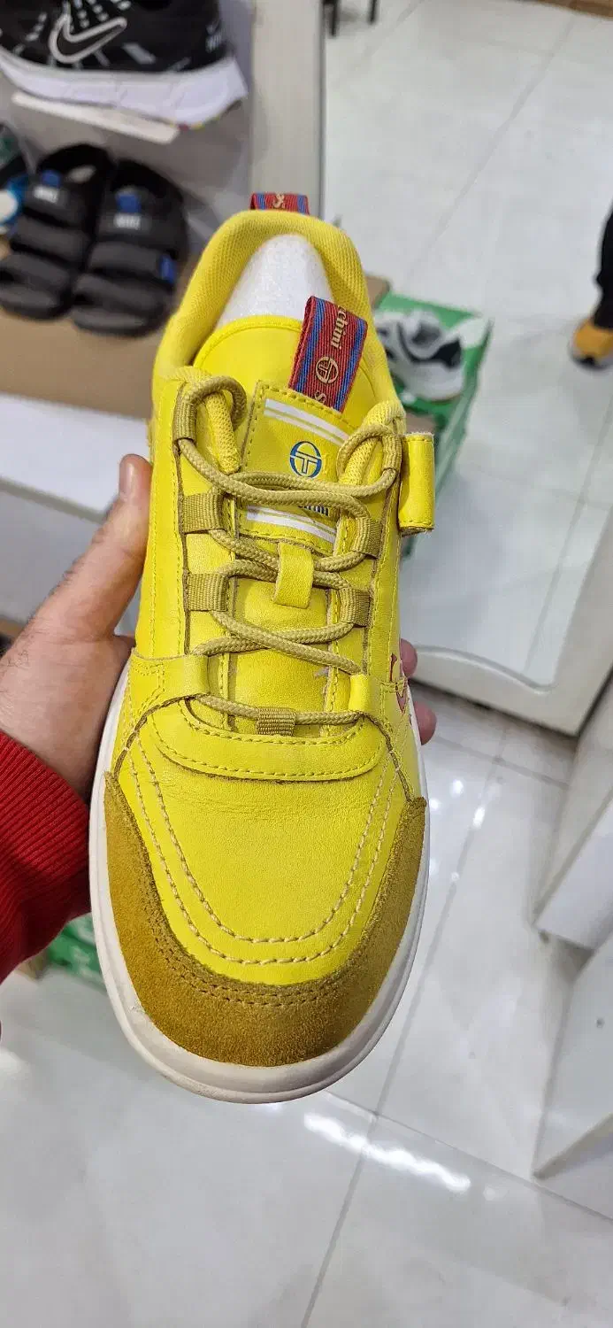 کتونی سرجیو وارداتی...در حد نو سایز ۴۲ بسیار شیک .|کیف، کفش، کمربند|رشت, منظریه|دیوار