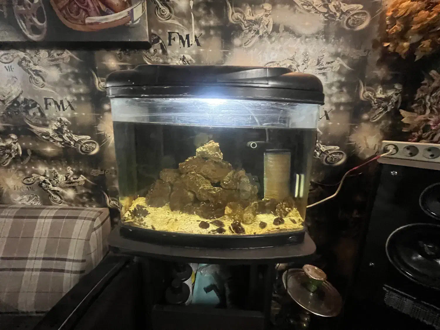 آکواریم آبشور|ماهی|تهران, شمس‌آباد|دیوار