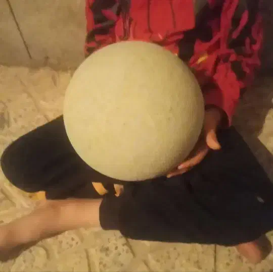 توپ میفروشم ب پولش نیاز دارم میفروشم بخاطر شرایط|ورزشهای توپی|قم, بوستان خلیج فارس|دیوار