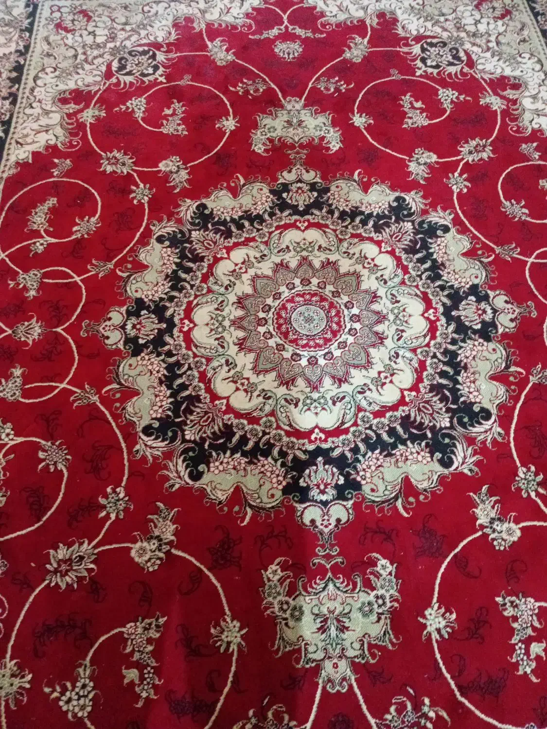 فرش 12متری و9متری|فرش|ساری, |دیوار