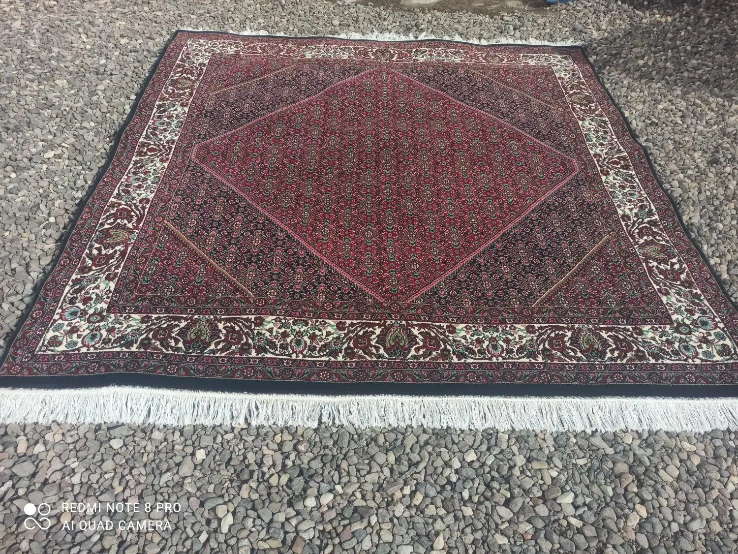 فرش ریزه ماهی|فرش|زنجان, |دیوار