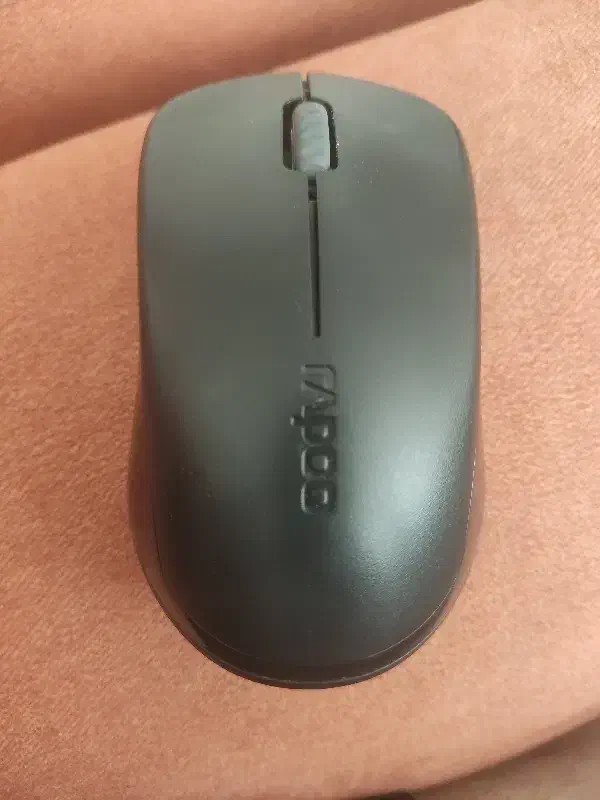 موس rapoo 1620|قطعات و لوازم جانبی رایانه|بانه, |دیوار