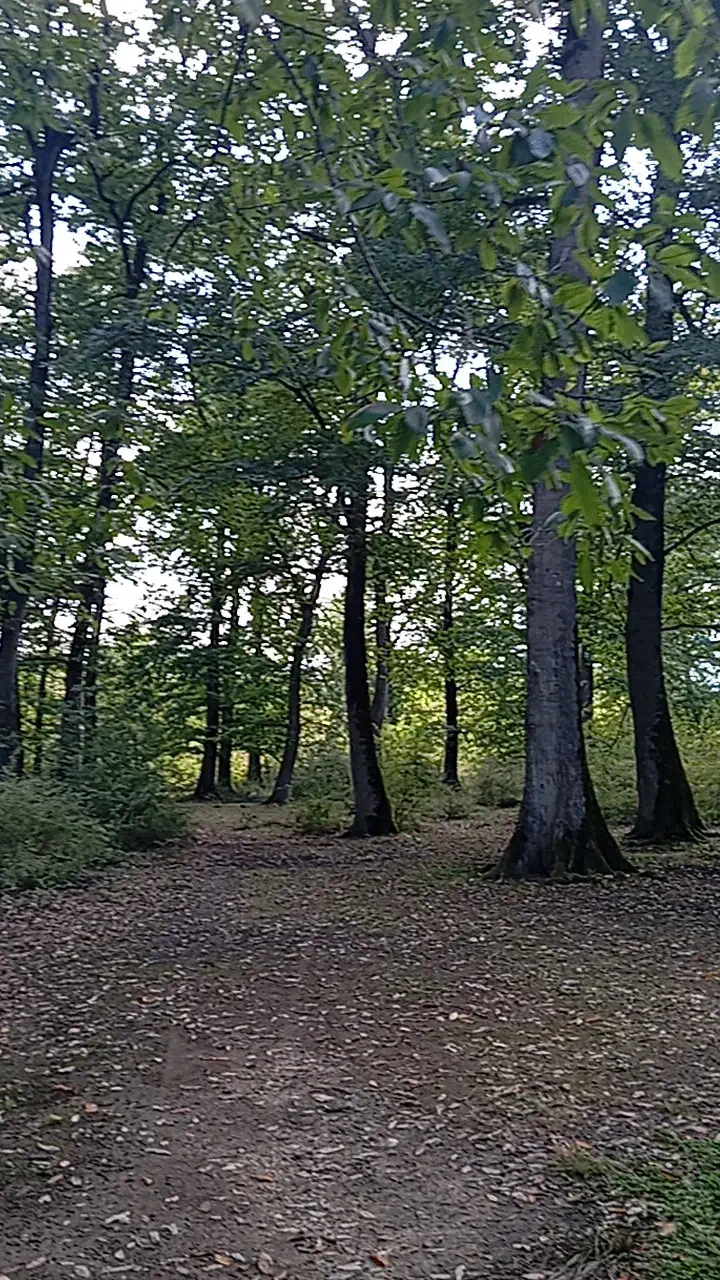 سرکتاب|کتاب و مجله|تهران, زعفرانیه|دیوار