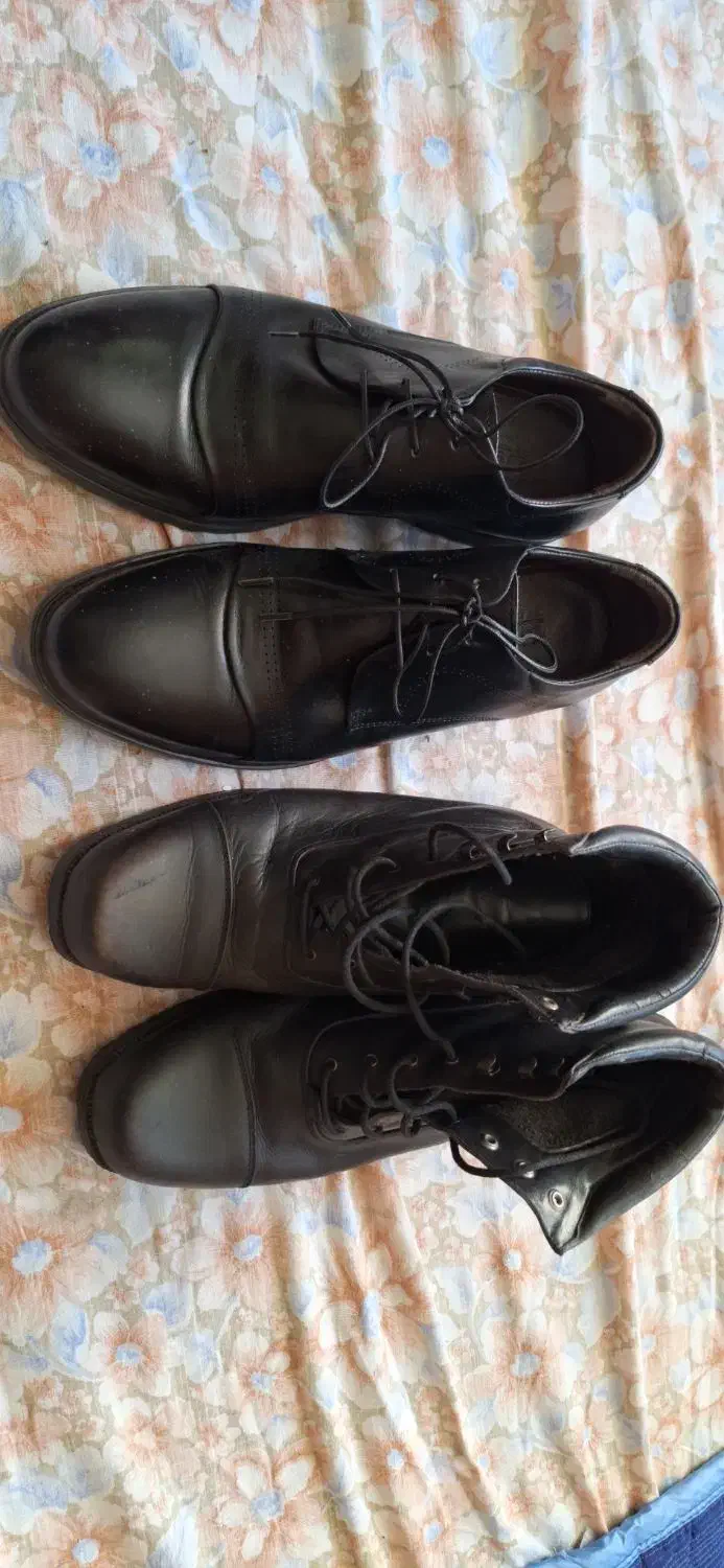 دو جفت کفش چرمی|کیف، کفش، کمربند|مراغه, |دیوار