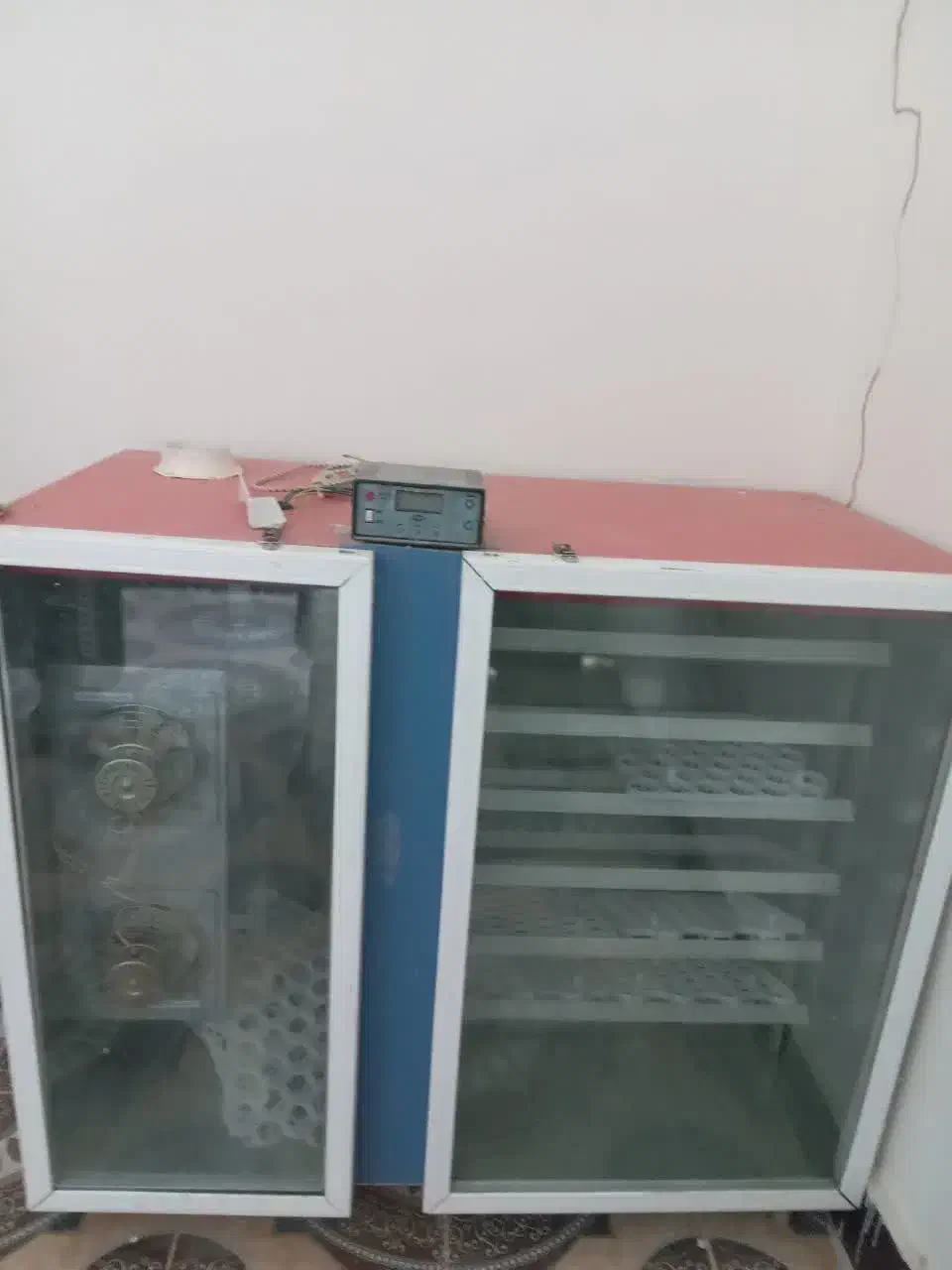 وسیله ایی کاربردی و پردرآمد|لوازم جانبی حیوانات|رومشکان, |دیوار